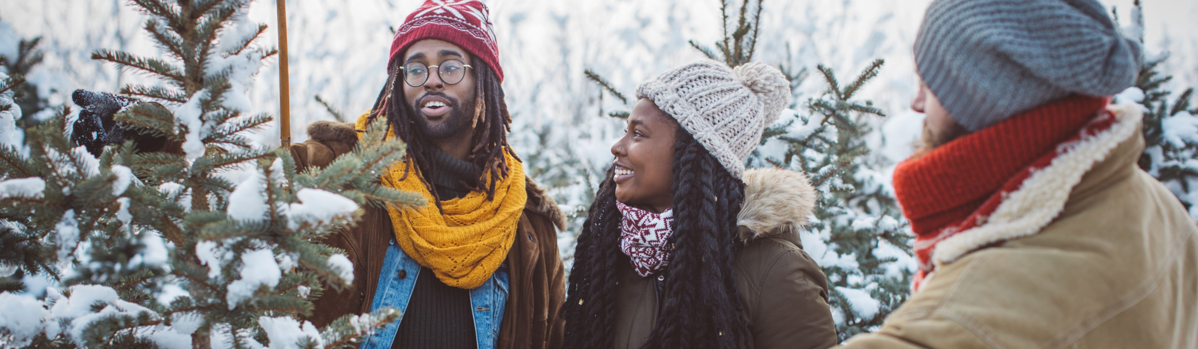 Where to buy Christmas trees in London Blog Zipcar